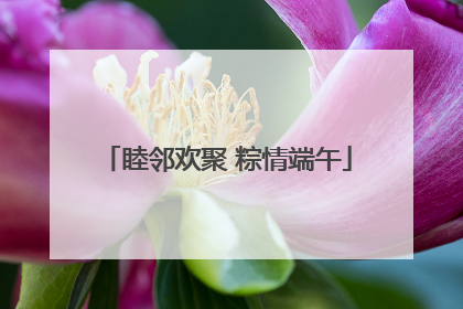 睦邻欢聚 粽情端午