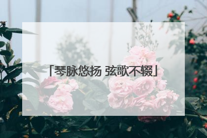 琴脉悠扬 弦歌不辍