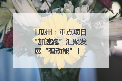 瓜州：重点项目“加速跑”汇聚发展“强动能”