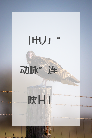 电力“动脉”连陕甘