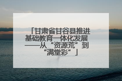 甘肃省甘谷县推进基础教育一体化发展——从“资源荒”到“满堂彩”