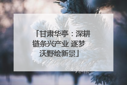 甘肃华亭：深耕链条兴产业 逐梦沃野绘新景