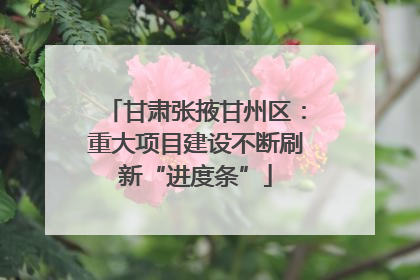 甘肃张掖甘州区：重大项目建设不断刷新“进度条”