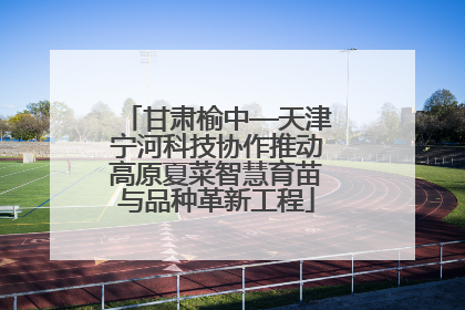 甘肃榆中—天津宁河科技协作推动高原夏菜智慧育苗与品种革新工程