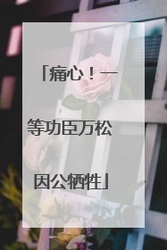 痛心！一等功臣万松因公牺牲