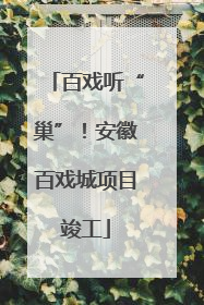 百戏听“巢”！安徽百戏城项目竣工