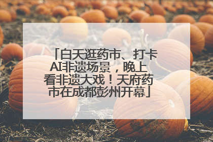 白天逛药市、打卡AI非遗场景，晚上看非遗大戏！天府药市在成都彭州开幕
