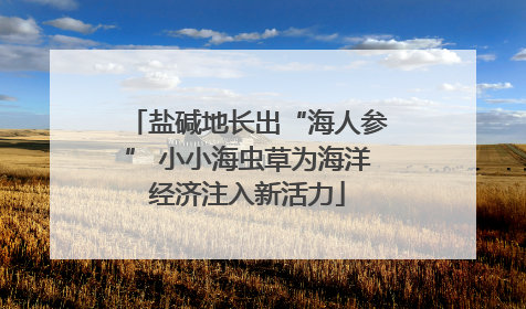 盐碱地长出“海人参” 小小海虫草为海洋经济注入新活力