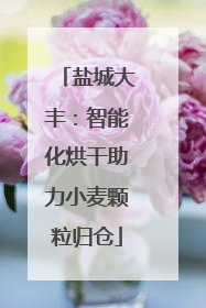 盐城大丰：智能化烘干助力小麦颗粒归仓
