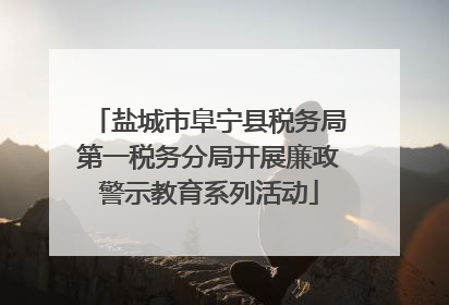 盐城市阜宁县税务局第一税务分局开展廉政警示教育系列活动