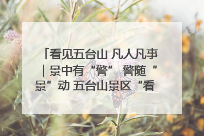 看见五台山 凡人凡事｜景中有“警” 警随“景”动 五台山景区“看得见”的平安守护