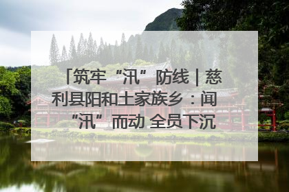 筑牢“汛”防线｜慈利县阳和土家族乡：闻“汛”而动 全员下沉筑牢防汛“安全堤”