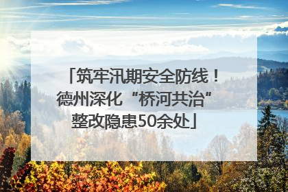 筑牢汛期安全防线！德州深化“桥河共治”整改隐患50余处