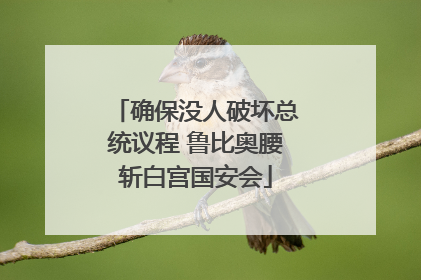 确保没人破坏总统议程 鲁比奥腰斩白宫国安会