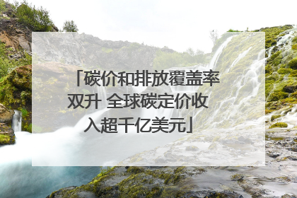 碳价和排放覆盖率双升 全球碳定价收入超千亿美元