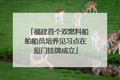 福建首个双燃料船舶船员培养见习点在厦门挂牌成立