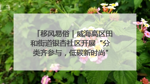移风易俗｜威海高区田和街道银杏社区开展“分类齐参与，低碳新时尚”垃圾分类主题宣传活动