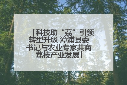 科技助“荔”引领转型升级 漳浦县委书记与农业专家共商荔枝产业发展