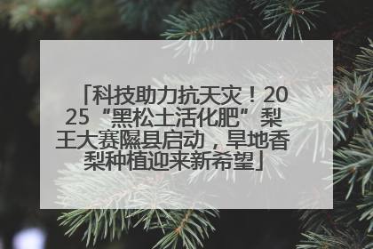 科技助力抗天灾！2025“黑松土活化肥”梨王大赛隰县启动，旱地香梨种植迎来新希望