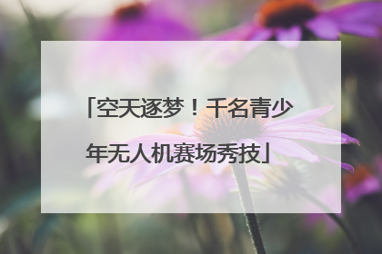空天逐梦！千名青少年无人机赛场秀技