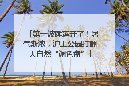 第一波睡莲开了！暑气渐浓，沪上公园打翻大自然“调色盘”