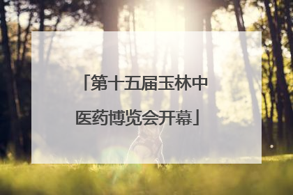 第十五届玉林中医药博览会开幕
