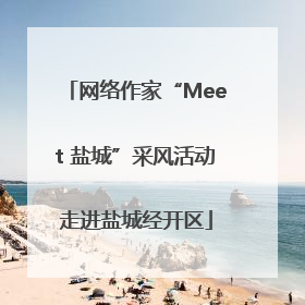 网络作家“Meet 盐城”采风活动走进盐城经开区