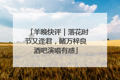 羊晚快评｜落花时节又逢君，睹万梓良酒吧演唱有感