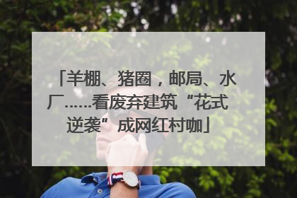 羊棚、猪圈，邮局、水厂……看废弃建筑“花式逆袭”成网红村咖