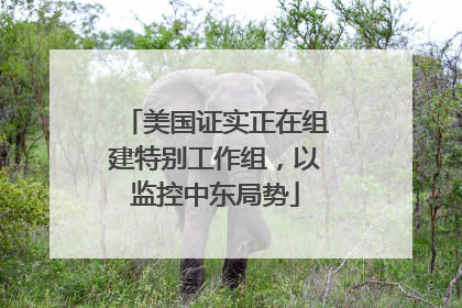 美国证实正在组建特别工作组，以监控中东局势