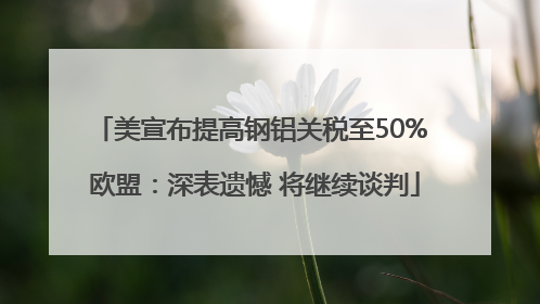 美宣布提高钢铝关税至50% 欧盟：深表遗憾 将继续谈判