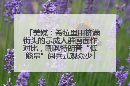 美媒：希拉里用挤满街头的示威人群画面作对比，嘲讽特朗普“低能量”阅兵式观众少