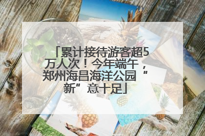 累计接待游客超5万人次！今年端午，郑州海昌海洋公园“新”意十足