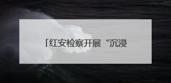 红安检察开展“沉浸式”廉政警示教育