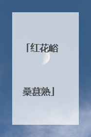红花峪 桑葚熟