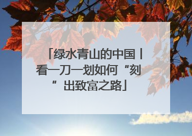 绿水青山的中国丨看一刀一划如何“刻”出致富之路