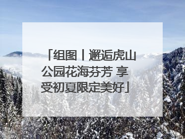 组图丨邂逅虎山公园花海芬芳 享受初夏限定美好