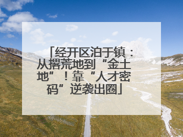 经开区泊于镇：从撂荒地到“金土地”！靠“人才密码”逆袭出圈