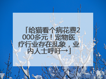 给猫看个病花费2000多元！宠物医疗行业存在乱象，业内人士呼吁→