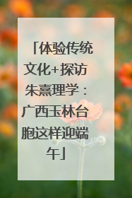 体验传统文化+探访朱熹理学：广西玉林台胞这样迎端午