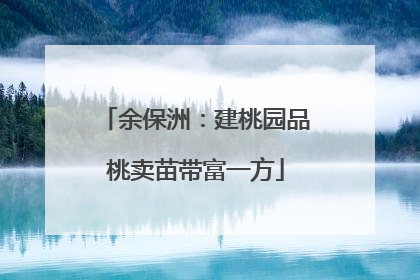 余保洲：建桃园品桃卖苗带富一方
