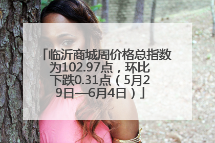 临沂商城周价格总指数为102.97点，环比下跌0.31点（5月29日—6月4日）