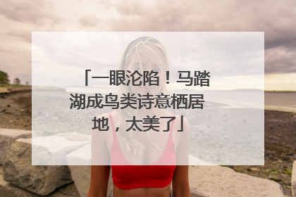 一眼沦陷！马踏湖成鸟类诗意栖居地，太美了