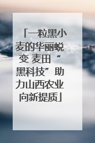一粒黑小麦的华丽蜕变 麦田“黑科技”助力山西农业向新提质