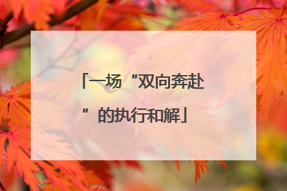 一场“双向奔赴”的执行和解