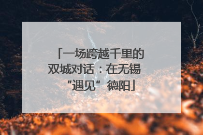 一场跨越千里的双城对话：在无锡“遇见”德阳
