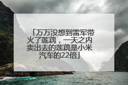 万万没想到雷军带火了莲藕，一天之内卖出去的莲藕是小米汽车的22倍
