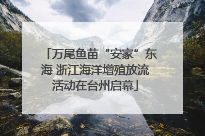 万尾鱼苗“安家”东海 浙江海洋增殖放流活动在台州启幕
