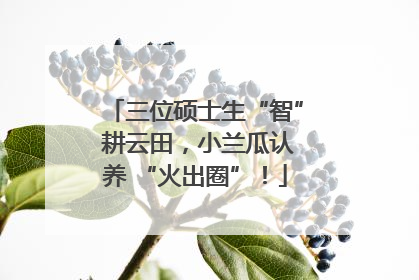 三位硕士生“智” 耕云田，小兰瓜认养 “火出圈”！