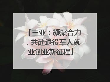 三亚：凝聚合力，共赴退役军人就业创业新征程
